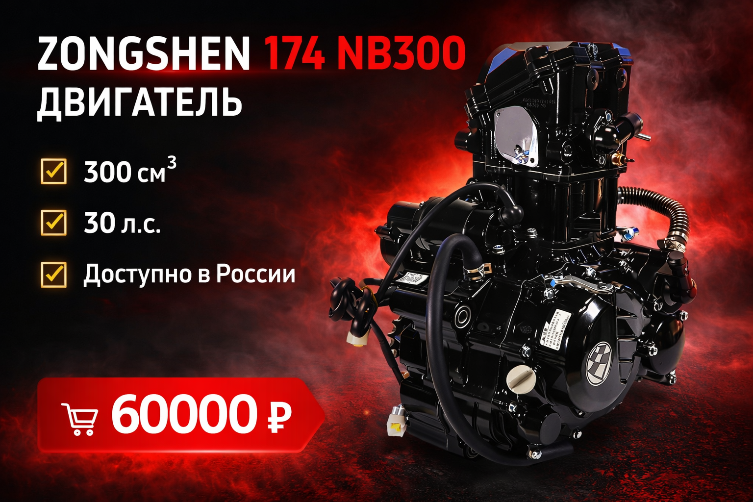 Двигатель Zongshen 174 NB300